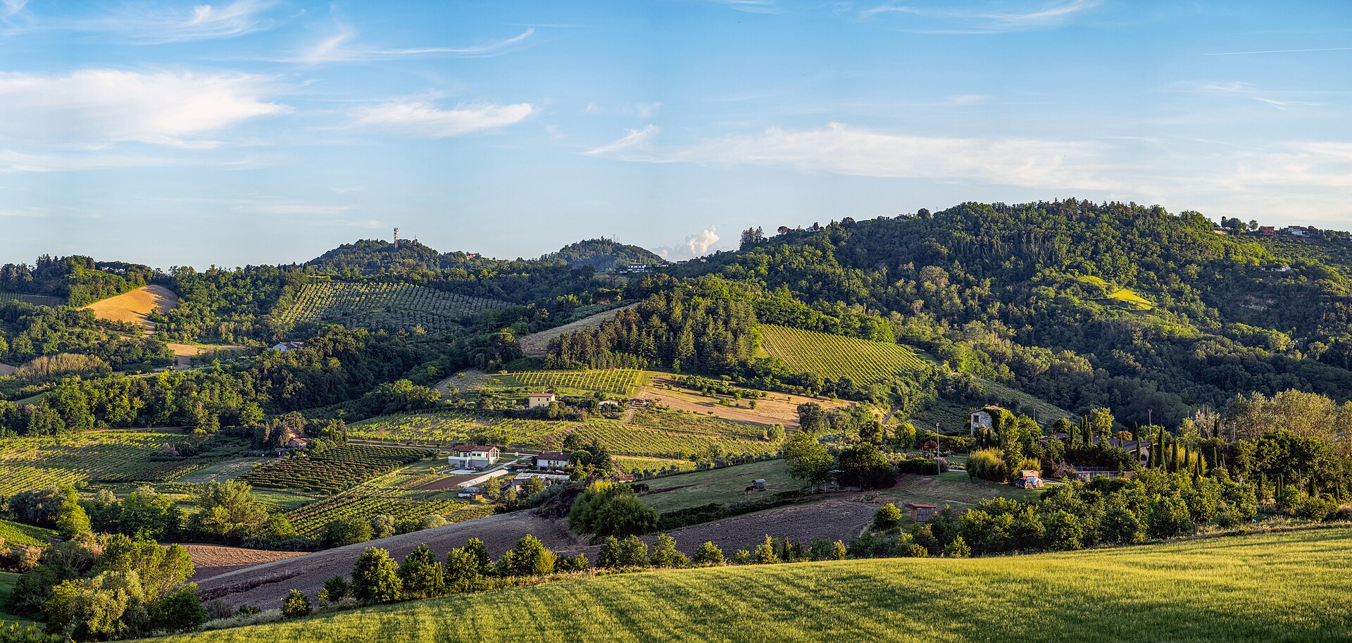 Romagna vineyards stretching across the valley floor toward the Apennine hills — the landscape visible from the fairways at Rimini Verucchio Golf Club.